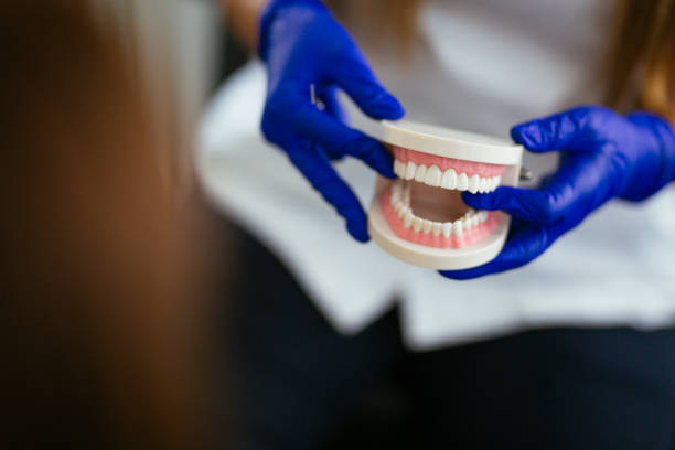 Davenport, WA Holistic Dental Care Services Company